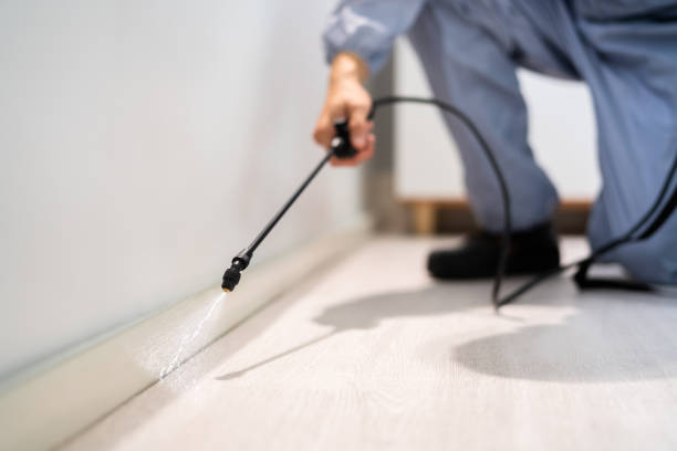 Licensed Pest Control service in Mitchell, SD - Show Me Pest Control