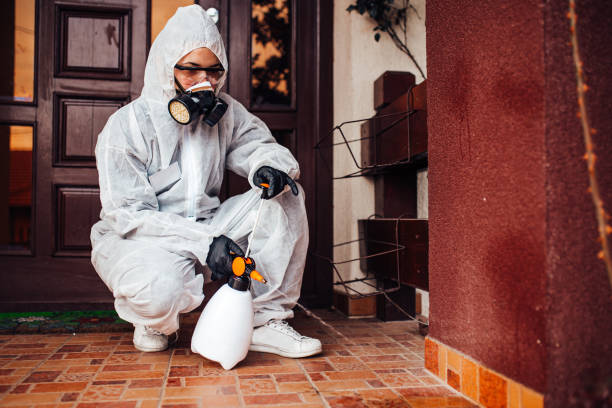 Attic and Crawl Space Rodent Treatment in Mitchell