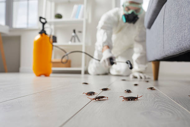 Commercial Rodent Management in Mitchell